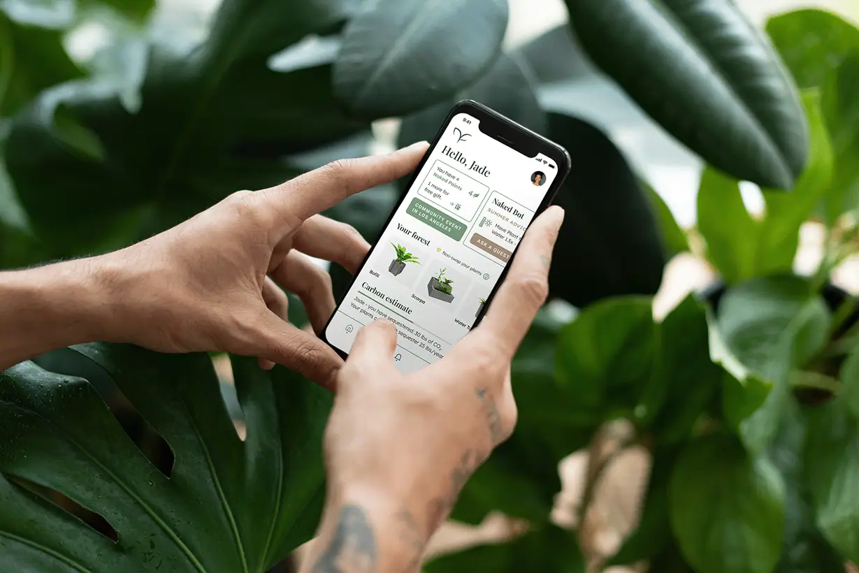 Naked Forest: telefon w dłoniach z ekranem aplikacji Hello, Jade na tle liści monstery