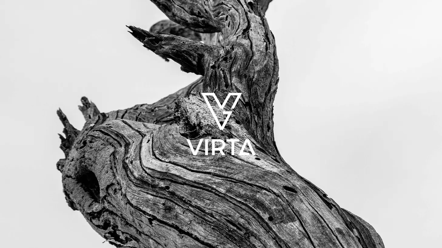 Virta: białe logo z sygnetem V na czarno-białym zdjęciu sękatego pnia drzewa